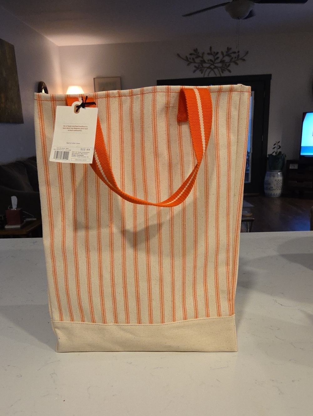 Hearth & Hand Canvas Tote with Orange Strap and Coral Stripes